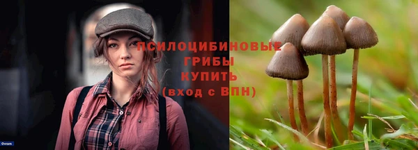 ГАЛЛЮЦИНОГЕННЫЕ ГРИБЫ Пестово
