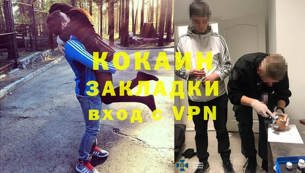 ГАЛЛЮЦИНОГЕННЫЕ ГРИБЫ Пестово