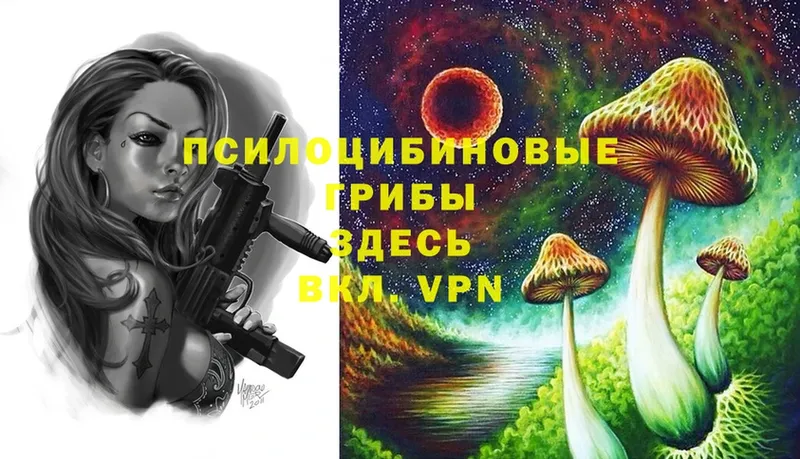 Галлюциногенные грибы MAGIC MUSHROOMS  где купить наркотик  гидра рабочий сайт  Арск 